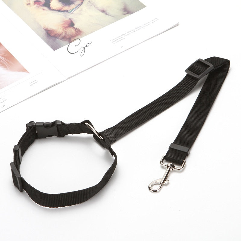 Adjustable 2 In 1 Pet Leash and Vehicle Harness